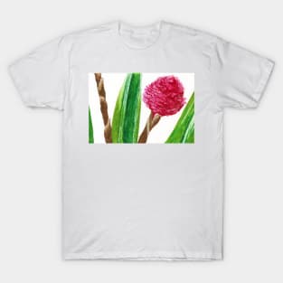 Heliconia T-Shirt